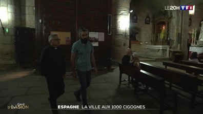 Espagne : la ville aux 1000 cigognes