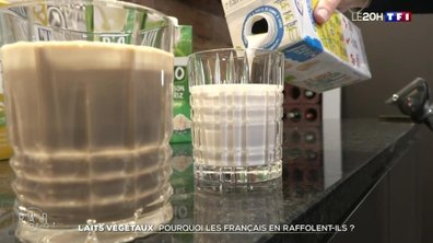 Laits végétaux : pourquoi cet engouement ?