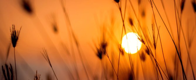 Exposition solaire france