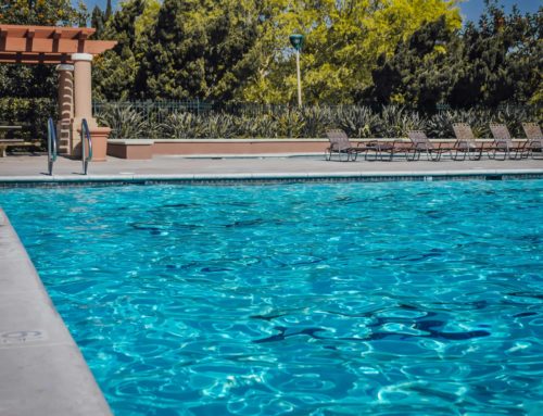 Comment fonctionne une pompe à chaleur pour piscine ?