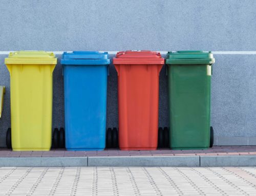 Le recyclage en France : Quels enjeux pour l’environnement ?